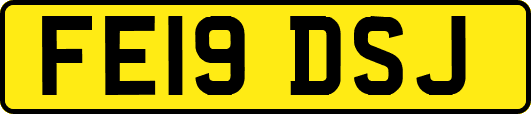 FE19DSJ