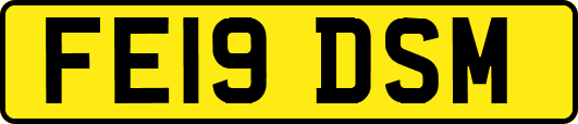 FE19DSM