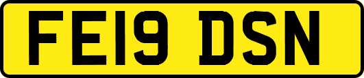 FE19DSN