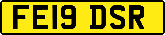 FE19DSR