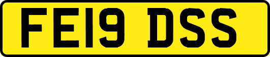 FE19DSS