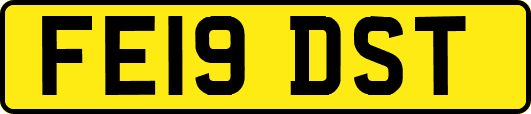 FE19DST