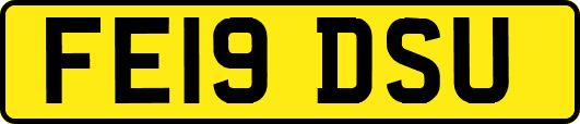 FE19DSU