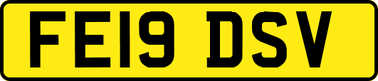 FE19DSV