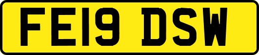 FE19DSW