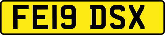 FE19DSX