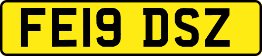 FE19DSZ