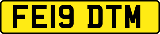 FE19DTM