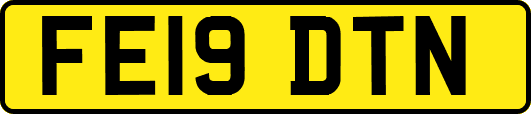 FE19DTN