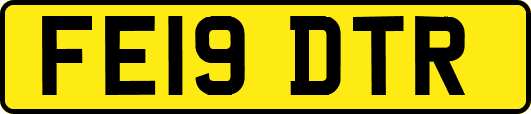 FE19DTR