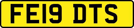 FE19DTS