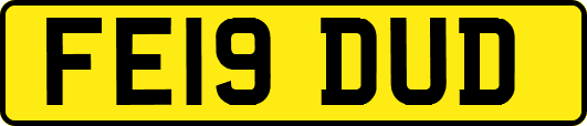 FE19DUD
