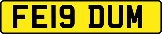 FE19DUM