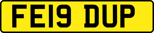 FE19DUP