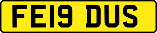 FE19DUS