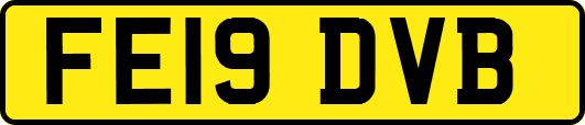 FE19DVB
