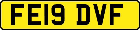 FE19DVF