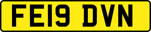 FE19DVN