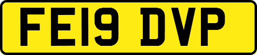 FE19DVP