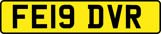 FE19DVR
