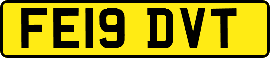 FE19DVT