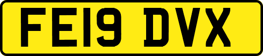 FE19DVX