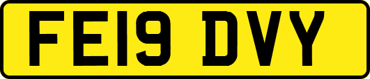 FE19DVY