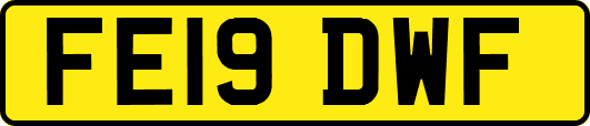FE19DWF