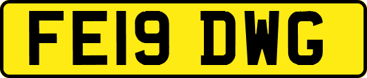 FE19DWG