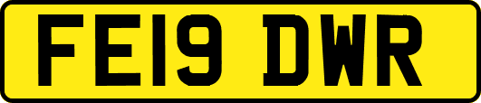 FE19DWR