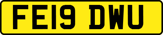 FE19DWU