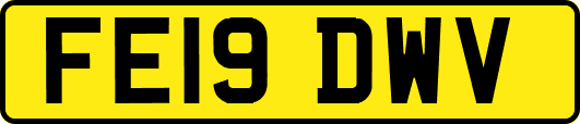 FE19DWV