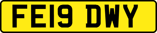FE19DWY
