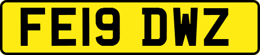 FE19DWZ