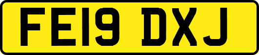 FE19DXJ