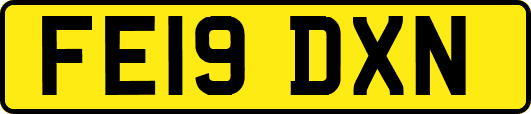 FE19DXN