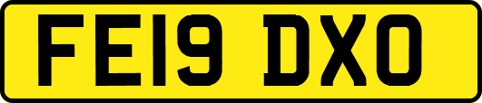 FE19DXO