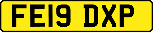 FE19DXP