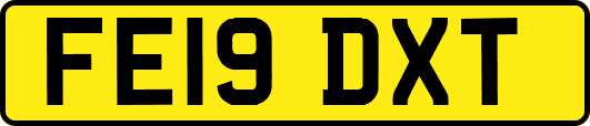 FE19DXT