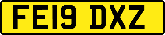 FE19DXZ