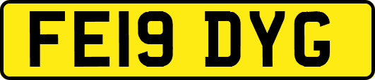 FE19DYG
