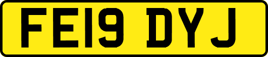 FE19DYJ