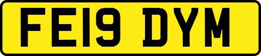 FE19DYM