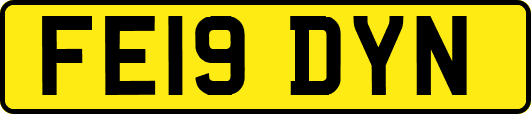 FE19DYN