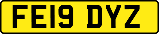 FE19DYZ