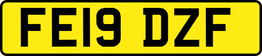 FE19DZF