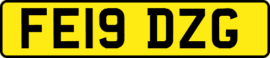 FE19DZG