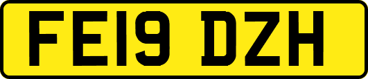 FE19DZH