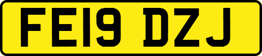 FE19DZJ