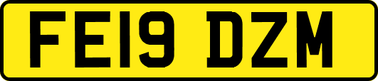 FE19DZM